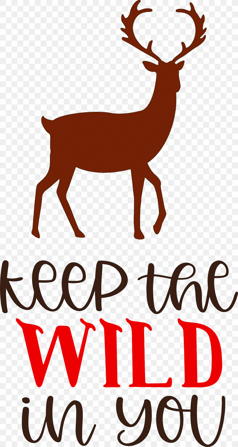 Keep Wild Deer, PNG, 1596x2999px, Keep Wild, Antler, Biology, Deer, Meter Download Free