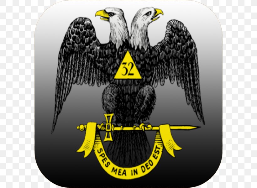 Scottish Rite Cathedral Freemasonry Masonic Lodge, PNG, 600x600px, Scottish Rite, Bald Eagle, Beak, Bird, Bird Of Prey Download Free
