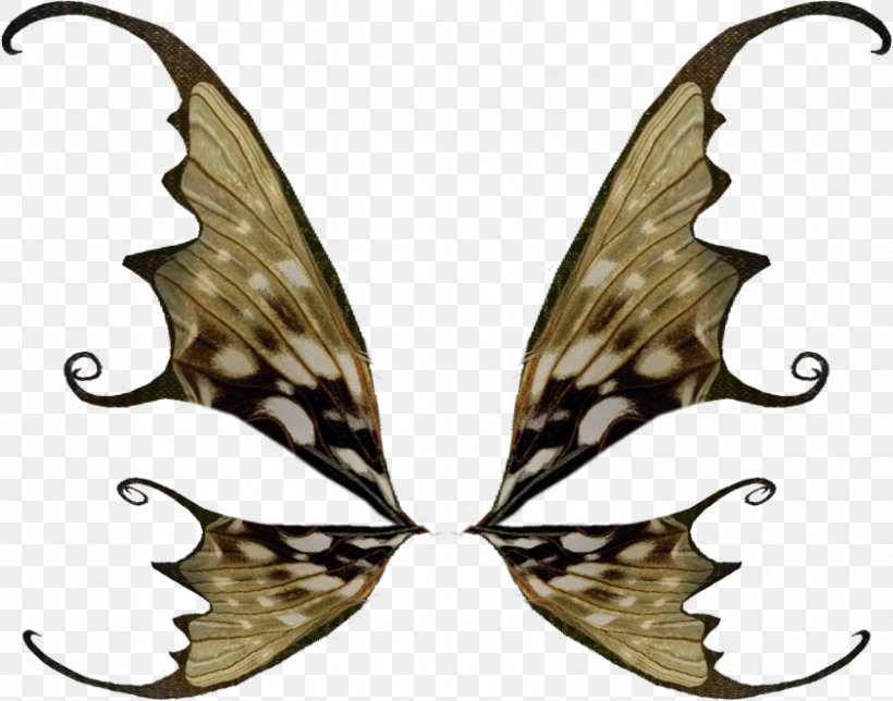 Bird Butterflies And Moths Fairy Clip Art, PNG, 842x662px, Bird, Blog, Brush Footed Butterfly, Butterflies And Moths, Butterfly Download Free