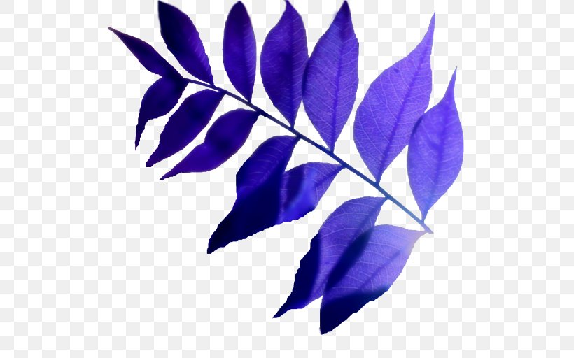 Leaf Purple, PNG, 512x512px, Leaf, Branch, Plant, Purple, Violet Download Free