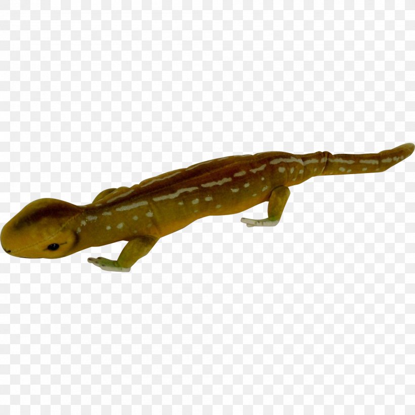Newt Amphibian Lizard Reptile Terrestrial Animal, PNG, 2007x2007px, Newt, Amphibian, Animal, Animal Figure, Fauna Download Free