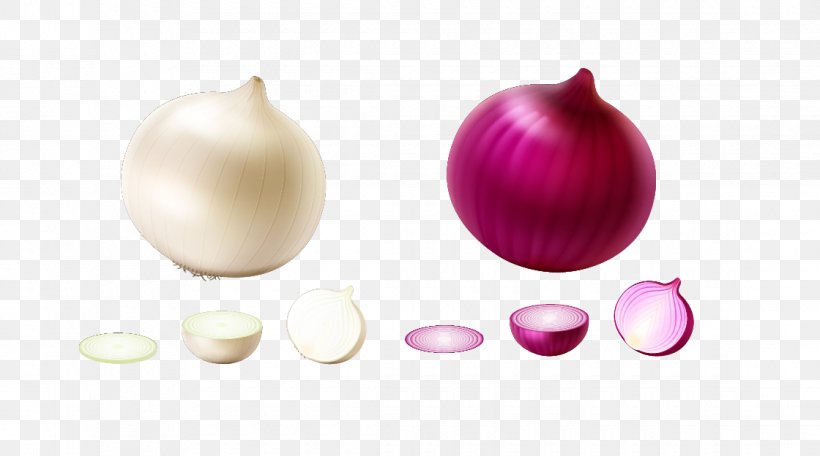 Onion Vegetable Euclidean Vector, PNG, 1120x624px, Onion, Food, Gratis, Magenta, Pink Download Free
