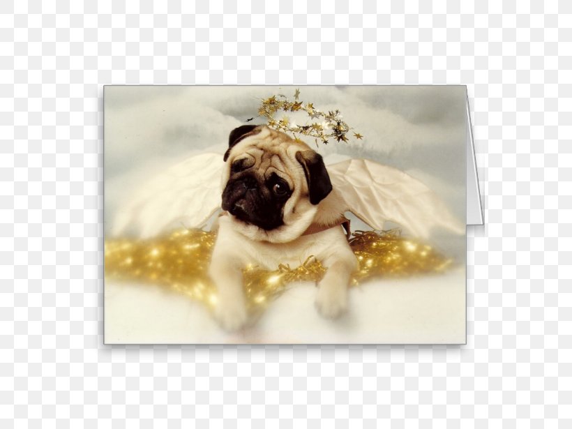 Pug Shar Pei Puppy Labrador Retriever Christmas, PNG, 615x615px, Pug, Carnivoran, Christmas, Dog, Dog Breed Download Free