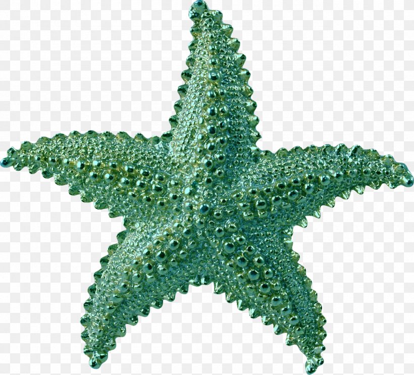 Starfish PhotoScape Clip Art, PNG, 1280x1161px, Starfish, Archive File, Data Compression, Digital Image, Echinoderm Download Free