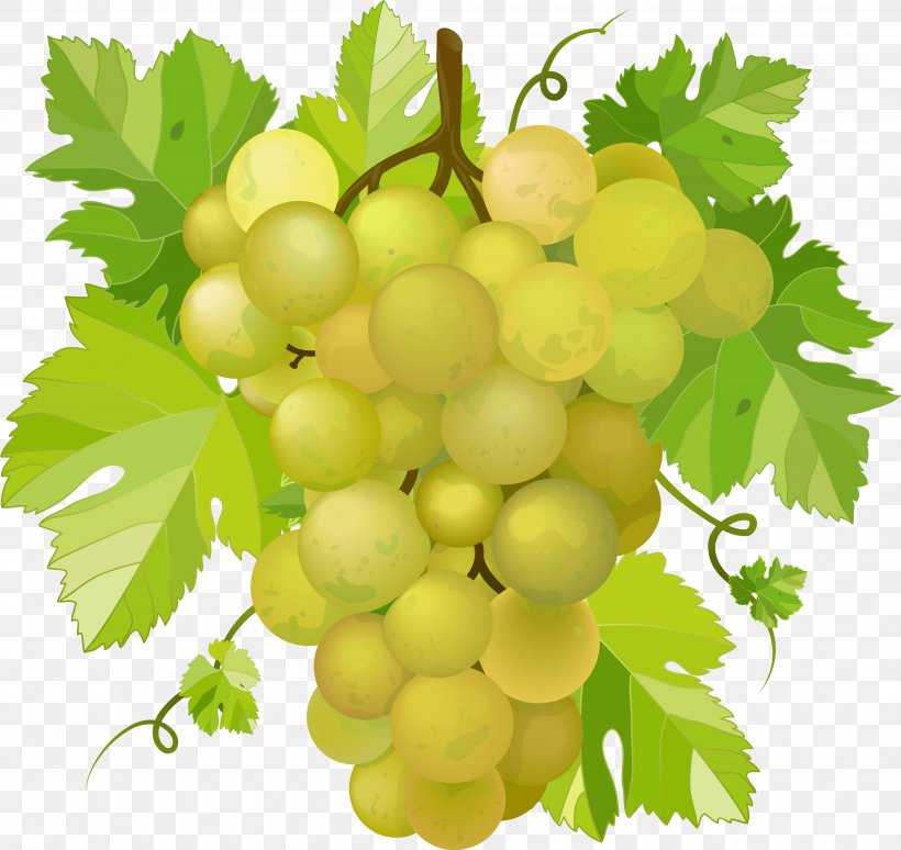 Wine Concord Grape Clip Art, PNG, 4236x4000px, Wine, Concord Grape, Food, Fruit, Gooseberry Download Free