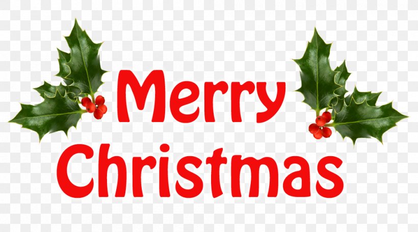 Christmas Eve Christmas Tree Christmas Card Clip Art, PNG, 1000x557px, Christmas, Aquifoliaceae, Aquifoliales, Brand, Christmas And Holiday Season Download Free