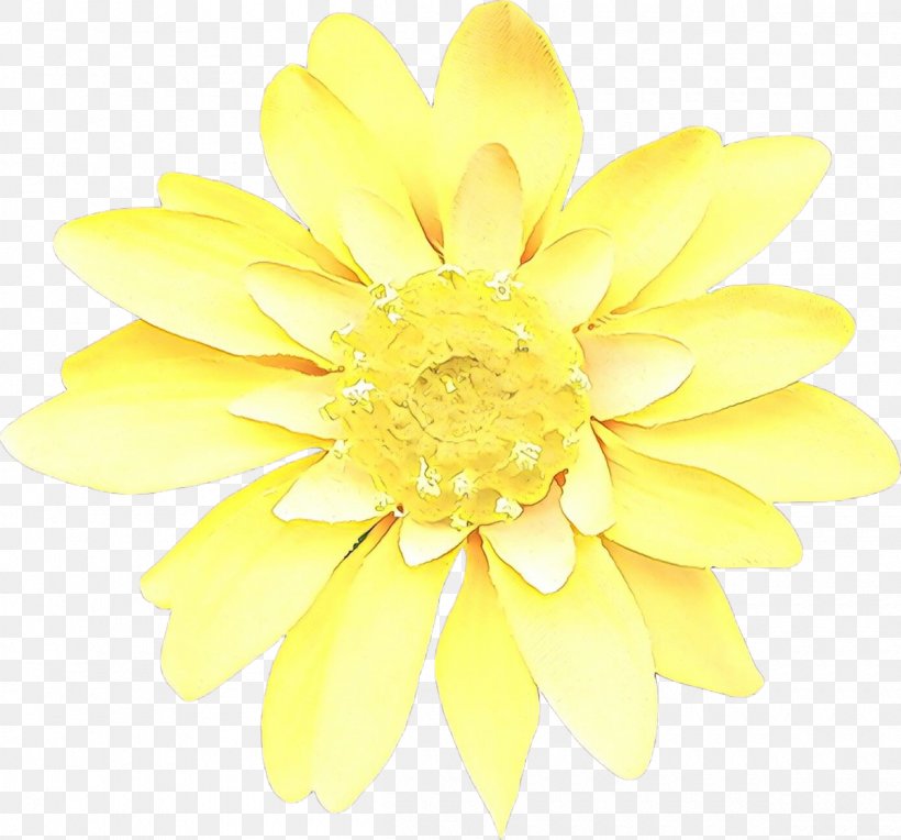 Chrysanthemum Cut Flowers, PNG, 1200x1119px, Chrysanthemum, Cut Flowers, Dahlia, Daisy Family, Flower Download Free
