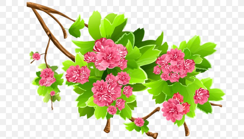 Clip Art, PNG, 700x467px, Spring, Annual Plant, Blossom, Branch, Cut Flowers Download Free