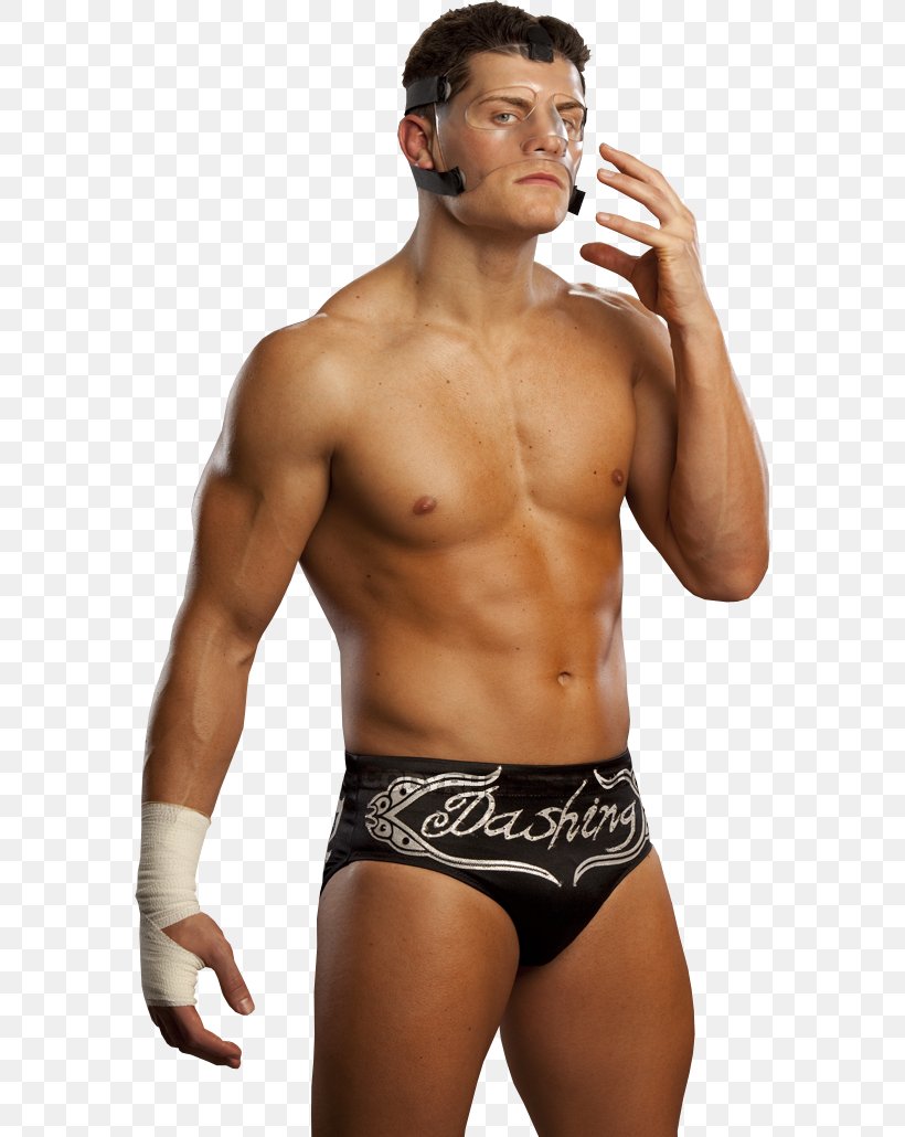 Cody Rhodes Professional Wrestling Impact Wrestling Dolph Ziggler Fandango, PNG, 576x1030px, Watercolor, Cartoon, Flower, Frame, Heart Download Free