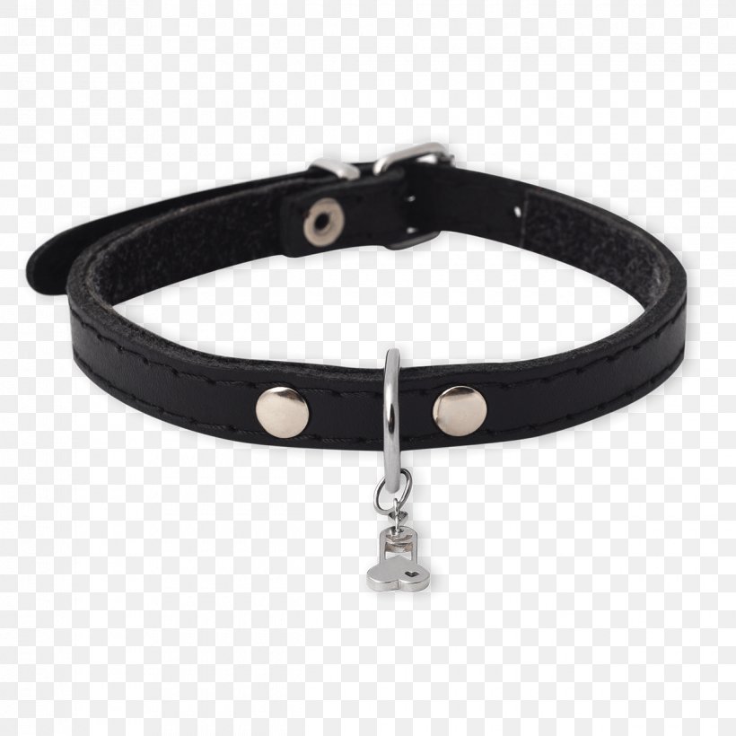 Dog Collar Bracelet Belt, PNG, 1240x1240px, Dog, Belt, Bracelet, Collar, Dog Collar Download Free