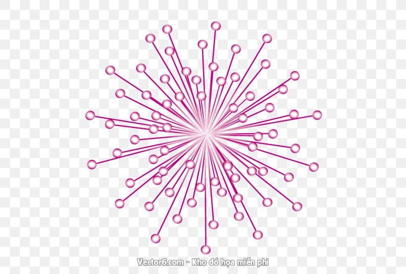 Drawing Clip Art, PNG, 555x555px, Drawing, Adobe Fireworks, Fireworks, Flower, Illustrator Download Free