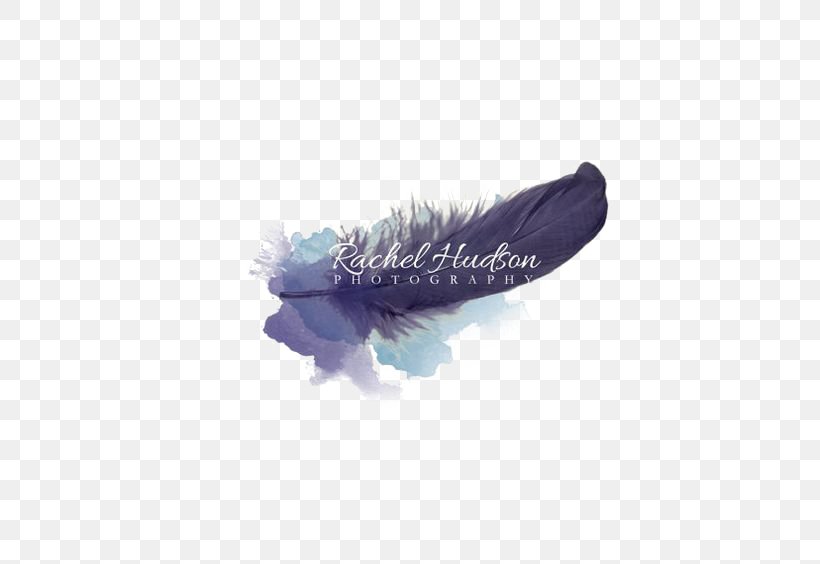 Logo Feather Photography Idea Photographer, PNG, 564x564px, Logo, Brand, Corporate Identity, Creativity, Feather Download Free