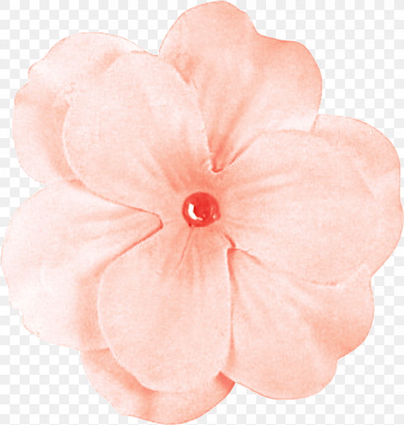 Pink Petal Flower Peach Plant, PNG, 1011x1064px, Pink, Anthurium, Flower, Impatiens, Peach Download Free