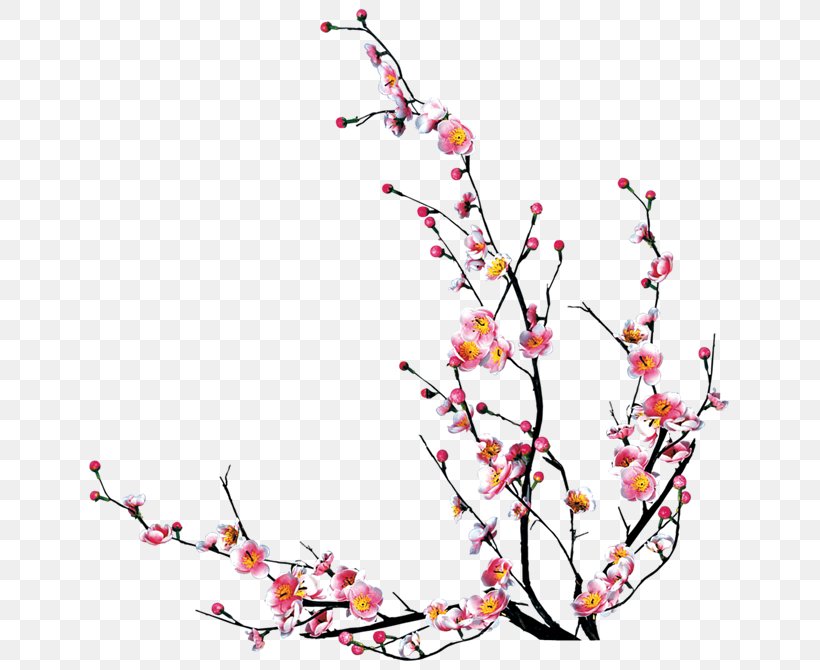 Theme, PNG, 670x670px, Theme, Art, Blossom, Branch, Cherry Blossom Download Free
