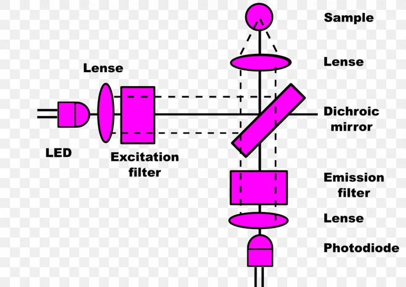 Filter Fluorometer Light Fluorescence Dichroic Filter, PNG, 1169x827px, Fluorometer, Area, Diagram, Dichroic Filter, Emission Spectrum Download Free