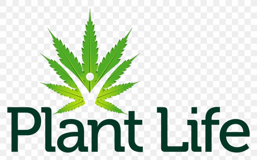 Cannabis Life Reimagined: Discovering Your New Life Possibilities Logo Hemp Font, PNG, 1000x626px, Cannabis, Brand, Grass, Health Care, Healthcare Partners Download Free