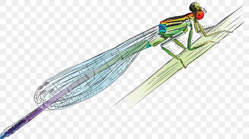 Drawing Damselfly Illustration, PNG, 1000x559px, Drawing, Art, Can Stock Photo, Cold Weapon, Damselfly Download Free