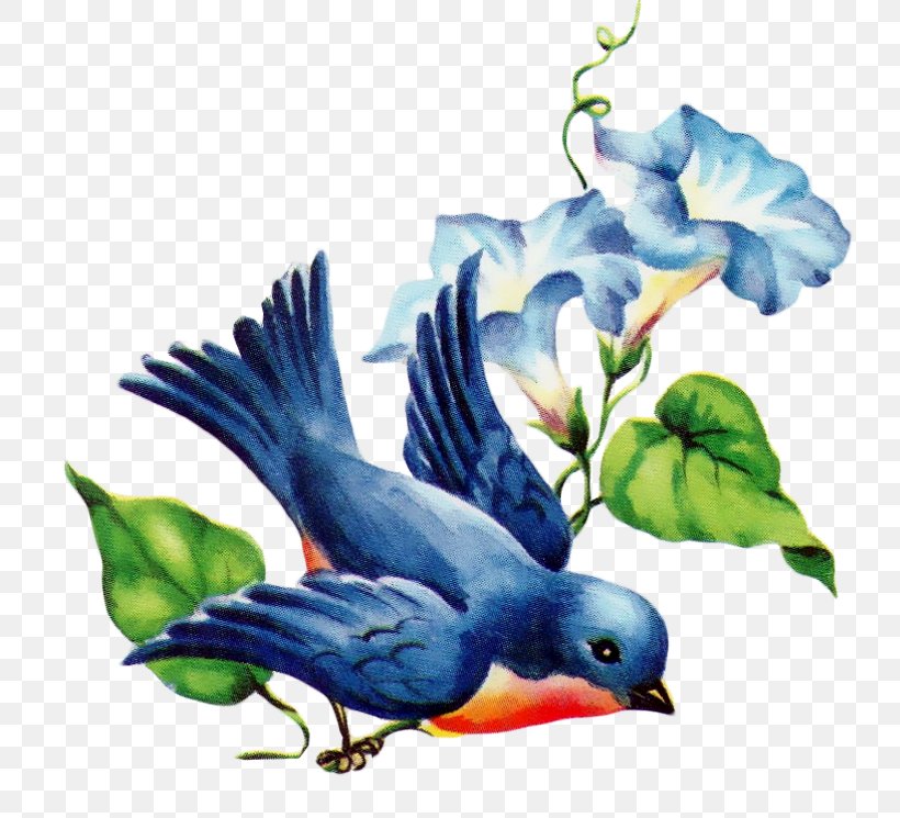 Eastern Bluebird Swallow Bluebird Of Happiness Clip Art, PNG, 771x745px, Bird, Art, Beak, Bluebird Of Happiness, Bluebirds Download Free