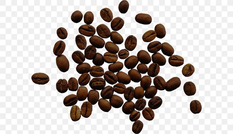 Instant Coffee Cafe Coffee Bean Single-origin Coffee, PNG, 600x473px, Coffee, Bean, Cafe, Caffeine, Chocolate Download Free