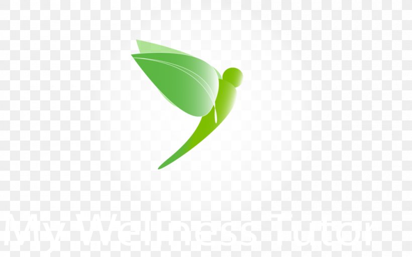 Leaf Logo Desktop Wallpaper, PNG, 1000x625px, Leaf, Closeup, Computer, Green, Liquid Download Free