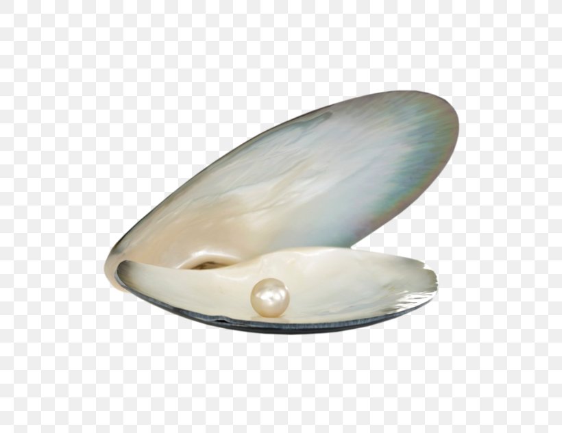 Pearl Seashell Lekker Laren Oyster, PNG, 700x632px, Pearl, Art, Birthstone, Conch, Fotolia Download Free