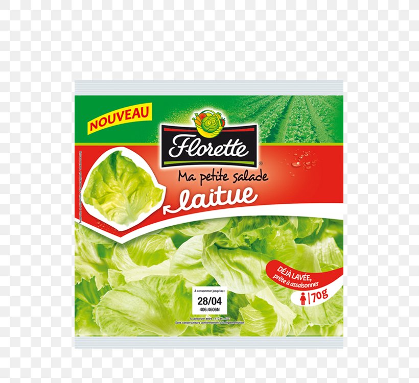 Romaine Lettuce Vegetarian Cuisine Food Corn Salad, PNG, 653x750px, Romaine Lettuce, Basil, Chard, Citric Acid, Corn Salad Download Free