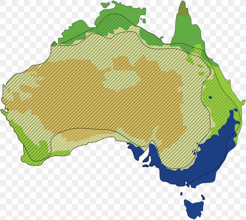 Australia Western Plateau Earth Geography Geographical Feature, PNG, 1147x1024px, Australia, Continent, Desert, Earth, Geographical Feature Download Free