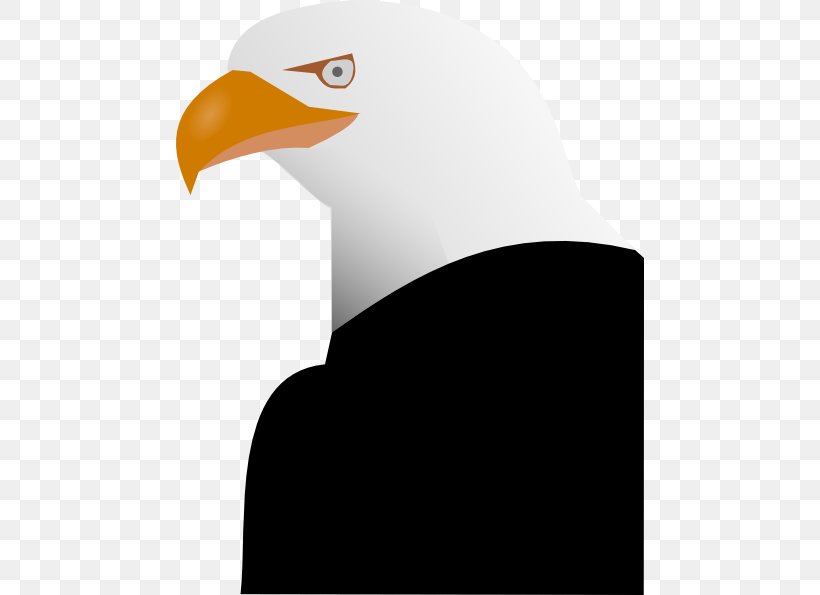 Carnivore Free Content Clip Art, PNG, 468x595px, Carnivore, Bald Eagle, Beak, Bird, Bird Of Prey Download Free