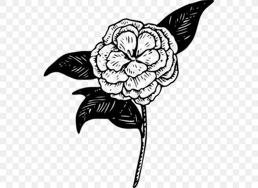 Clip Art, PNG, 541x600px, Camellia, Art, Artwork, Black, Black And White Download Free