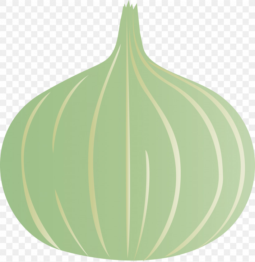 Onion, PNG, 2922x3000px, Onion, Biology, Christmas Day, Christmas Ornament, Christmas Ornament M Download Free