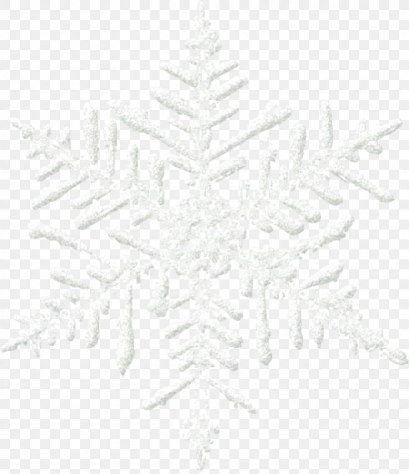Snowflake White Light, PNG, 883x1024px, Snowflake, Black And White, Christmas, Google Images, Ice Download Free