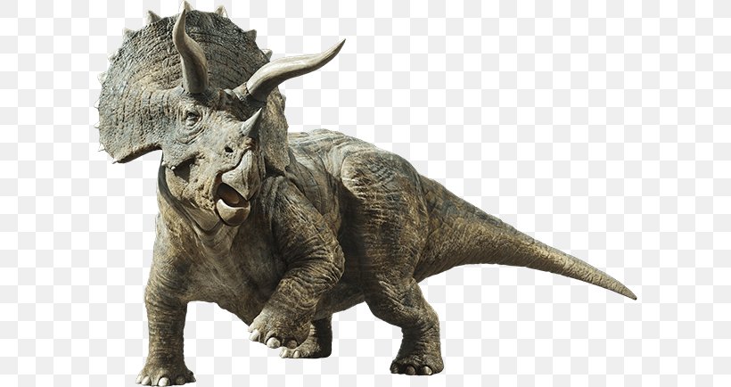 Triceratops Brachiosaurus Gallimimus Jurassic World Evolution Stegosaurus, PNG, 610x434px, Triceratops, Brachiosaurus, Dinosaur, Extinction, Gallimimus Download Free