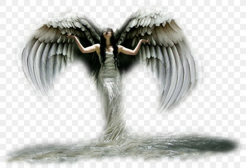 Angel Email Clip Art, PNG, 882x603px, Angel, Beak, Email, Gothic, Guestbook Download Free