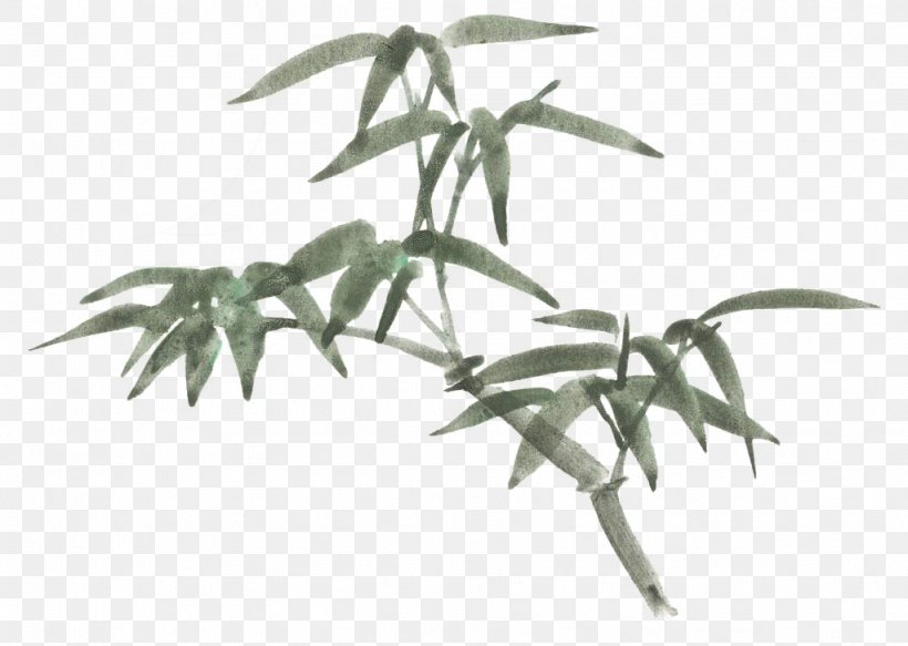 Bamboo Cartoon Drawing, PNG, 1024x729px, Bamboo, Art, Bambusa Oldhamii, Branch, Cartoon Download Free