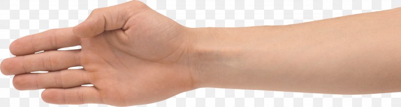 Hand Forearm Clip Art, PNG, 2735x733px, Hand, Arm, Finger, Forearm, Forelimb Download Free