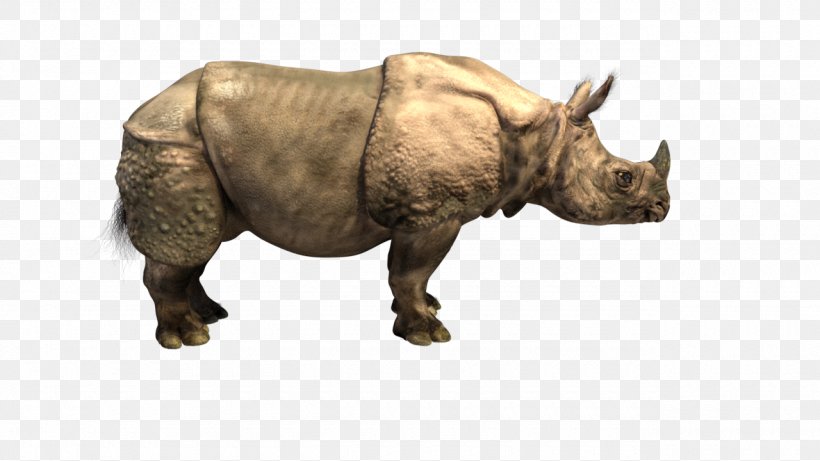 Indian Rhinoceros Horn, PNG, 1280x720px, Rhinoceros, Animation, Camera, Fauna, Hippopotamus Download Free