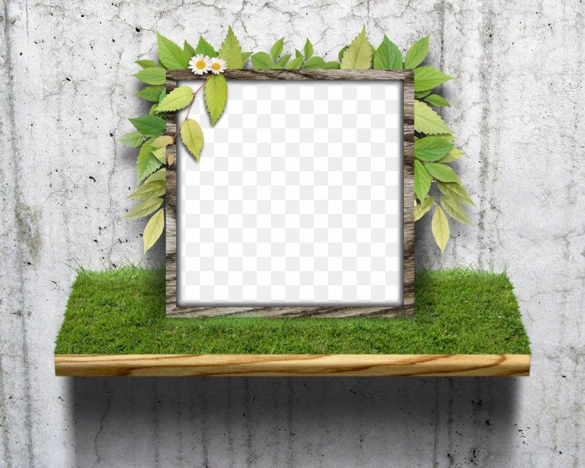 Picture Frame, PNG, 1000x800px, Picture Frame, Branch, Green, Leaf, Mirror Download Free