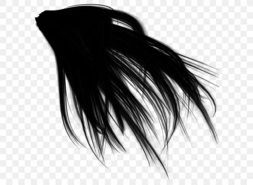 Black Hair Hair Coloring White, PNG, 600x600px, Black, Black And White, Black Hair, Black M, Brush Download Free
