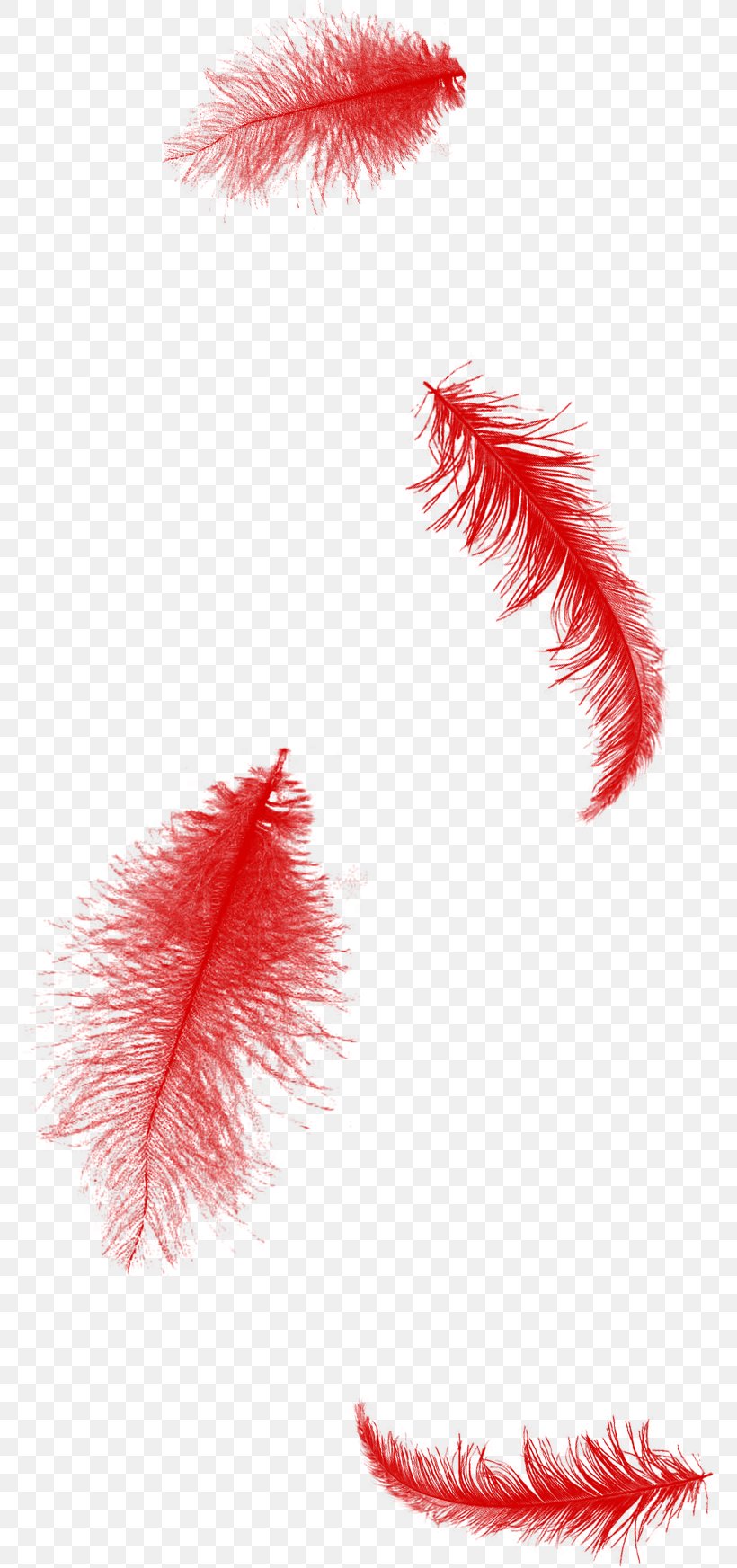Feather Red Clip Art, PNG, 772x1745px, Feather, Blue, Color, Green, Material Download Free