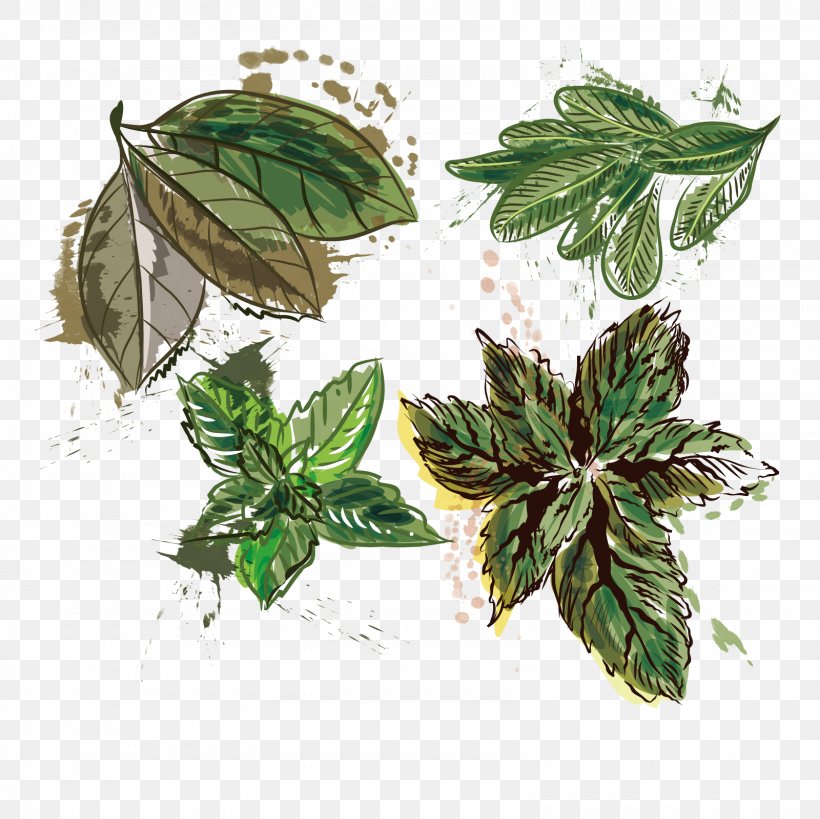 Leaf Mint Euclidean Vector, PNG, 1600x1600px, Flowerpot, Evergreen, Herb, Herbalism, Houseplant Download Free