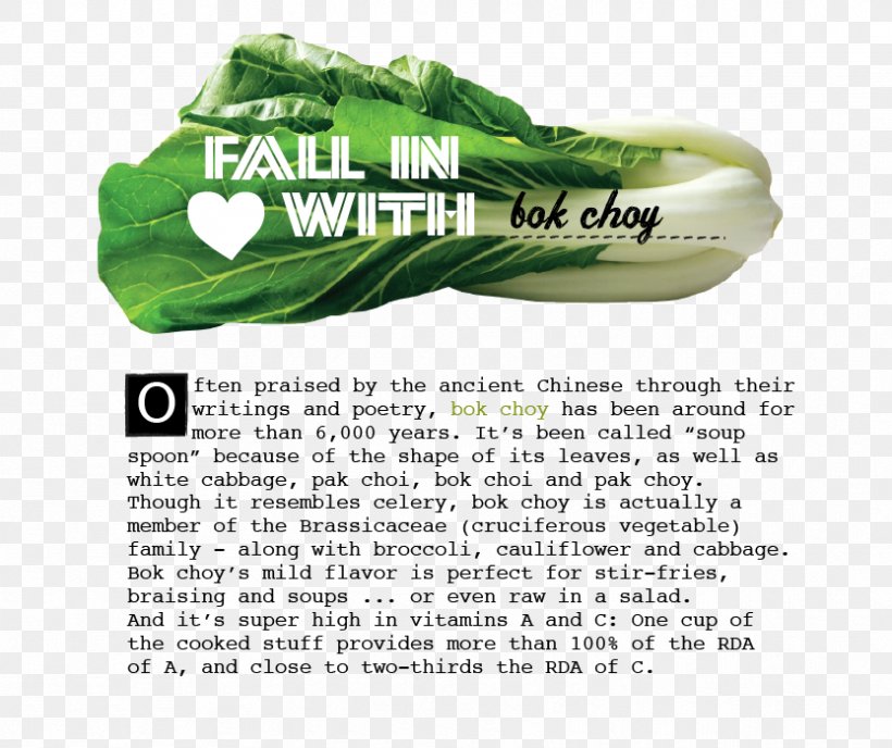 Leaf Vegetable Shoe, PNG, 833x699px, Leaf Vegetable, Brand, Grass, Organism, Plant Download Free