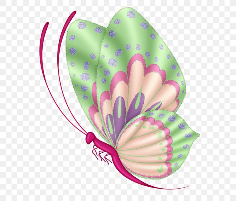 Butterfly Clip Art, PNG, 635x700px, Butterfly, Butterflies And Moths, Color, Drawing, Editing Download Free