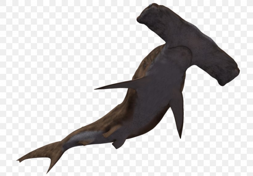 Hammerhead Shark Clip Art, PNG, 915x639px, 3d Computer Graphics, Shark, Blue Shark, Deep Sea Creature, Fauna Download Free