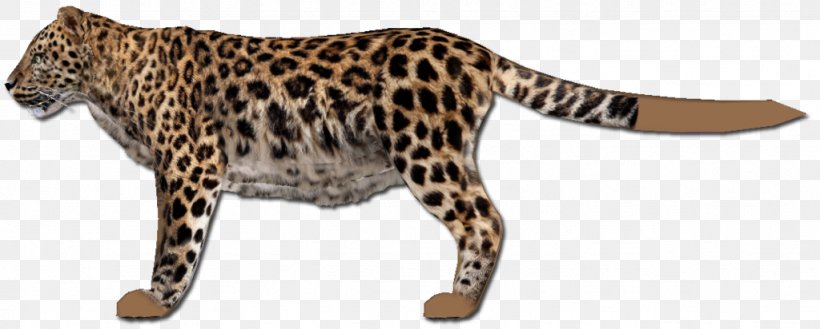 Leopard Ocelot Jaguar Cheetah Whiskers, PNG, 1024x412px, Leopard, Animal, Animal Figure, Big Cats, Carnivoran Download Free