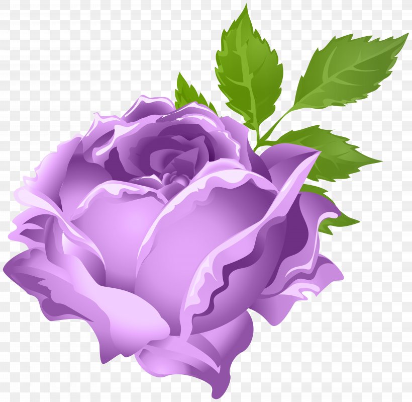 Rose Purple Flower Clip Art, PNG, 8000x7802px, Rose, Cut Flowers, Flower, Flowering Plant, Garden Roses Download Free