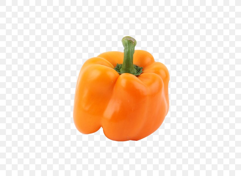Bell Pepper Capsicum Baccatum Chili Pepper Paprika Vegetable, PNG, 600x600px, Bell Pepper, Bell Peppers And Chili Peppers, Calabaza, Capsicum, Capsicum Annuum Download Free
