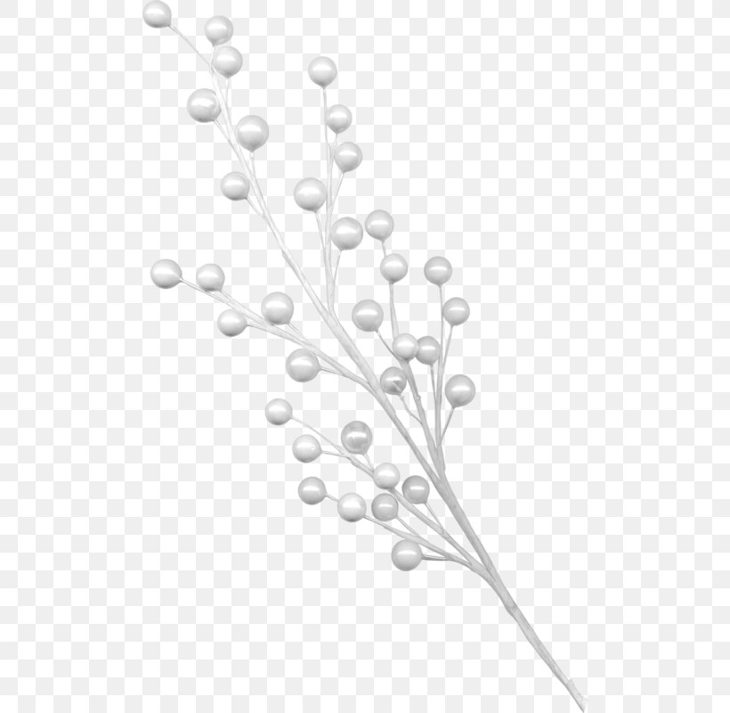 Black And White, PNG, 500x800px, White, Black And White, Branch, Flashball, Floating Material Download Free