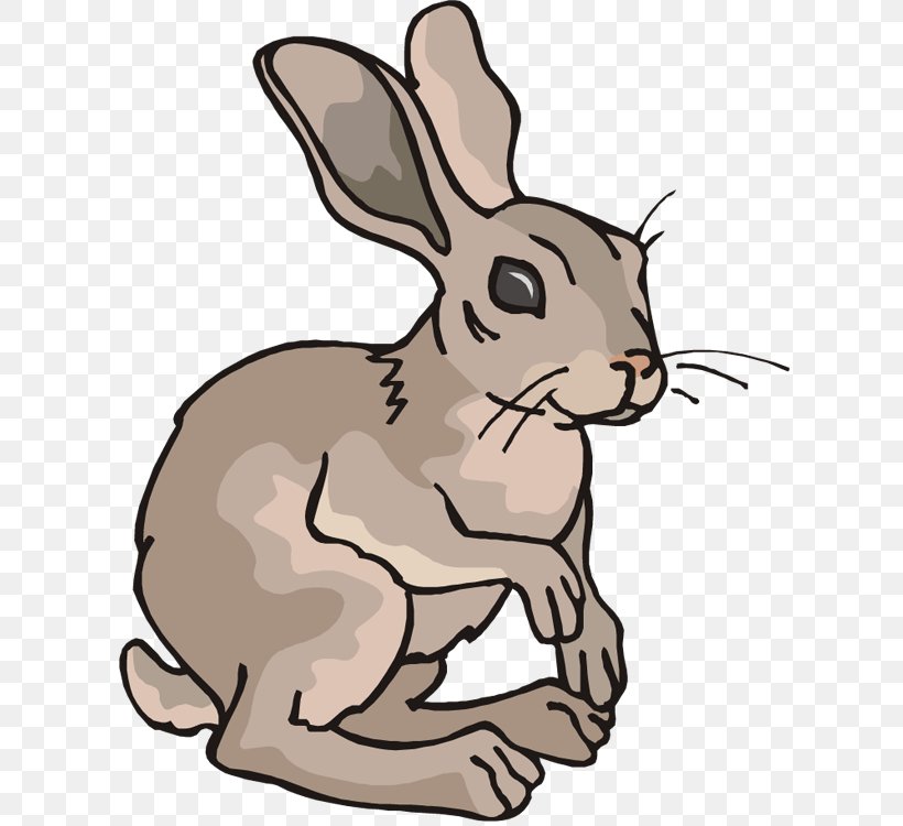 Arctic Hare Rabbit Cartoon Clip Art, PNG, 615x750px, Arctic Hare, Art, Artwork, Cartoon, Domestic Rabbit Download Free