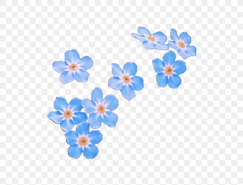 Forget-me-not Blue Flower Petal Plant, PNG, 640x624px, Forgetmenot, Blossom, Blue, Borage Family, Flower Download Free