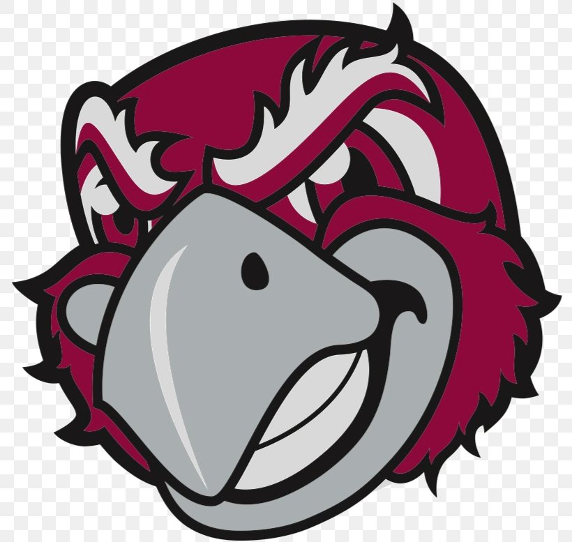 Roanoke College Roanoke Maroons Men's Basketball School, PNG, 796x777px, Roanoke, Art, Artwork, College, Fictional Character Download Free